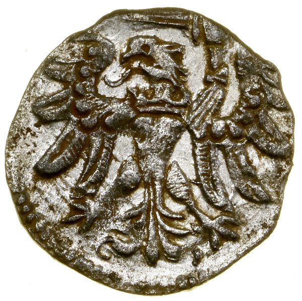 Denar, 1557, Gdańsk