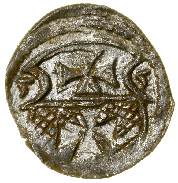 Denar, 1555, Elbląg