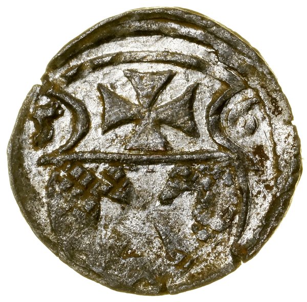 Denar, 1556, Elbląg