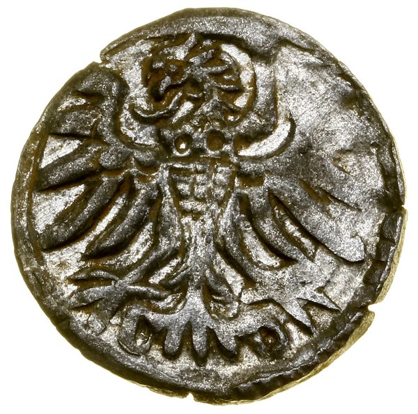 Denar, 1556, Elbląg