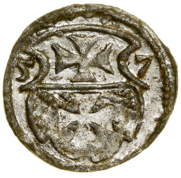 Denar, 1557, Elbląg