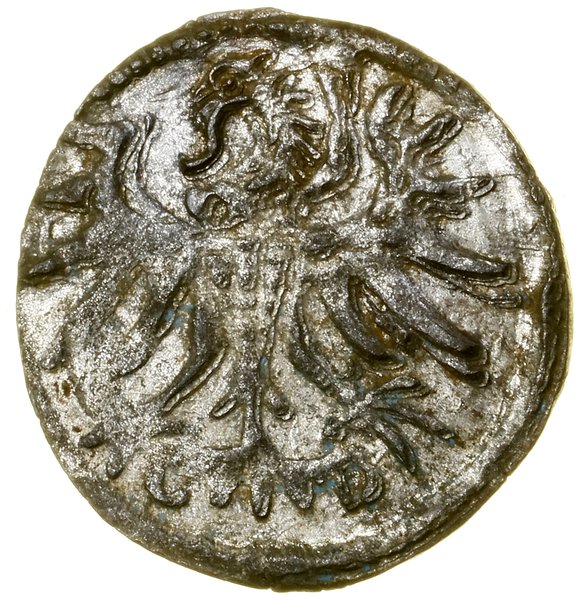 Denar, 1557, Elbląg