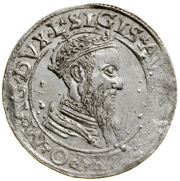 Czworak, 1565, Wilno