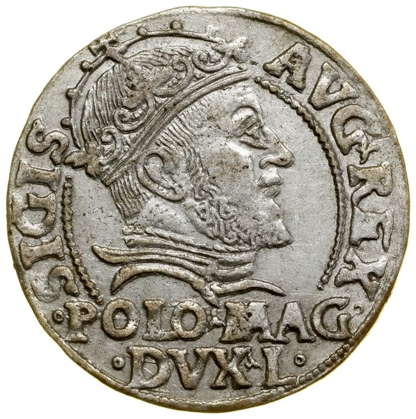Grosz na stopę polską, 1547, Wilno