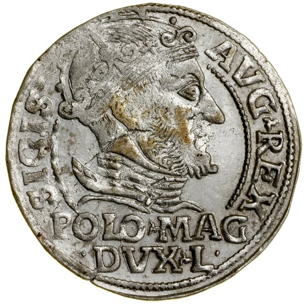 Grosz na stopę polską, 1548, Wilno