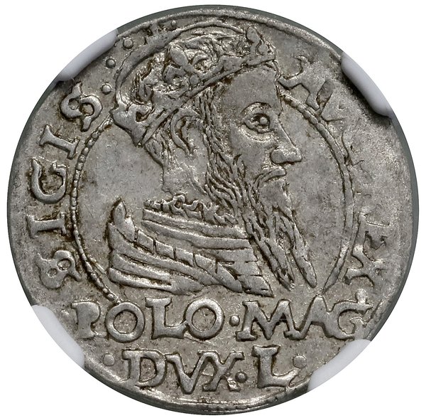 Grosz na stopę polską, 1566, Tykocin