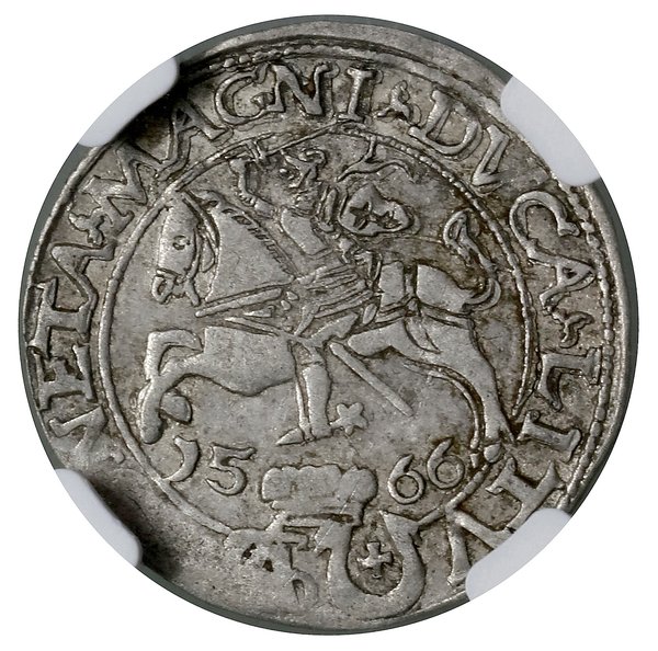 Grosz na stopę polską, 1566, Tykocin
