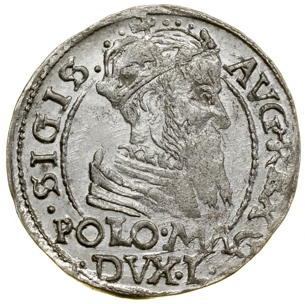 Grosz, 1566, Tykocin