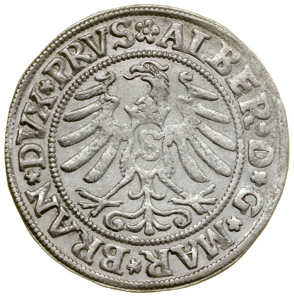 Grosz, 1531, Królewiec