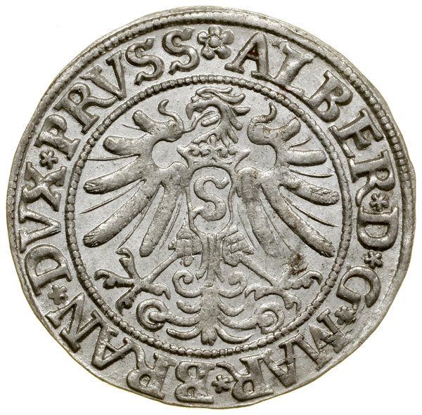 Grosz, 1533, Królewiec