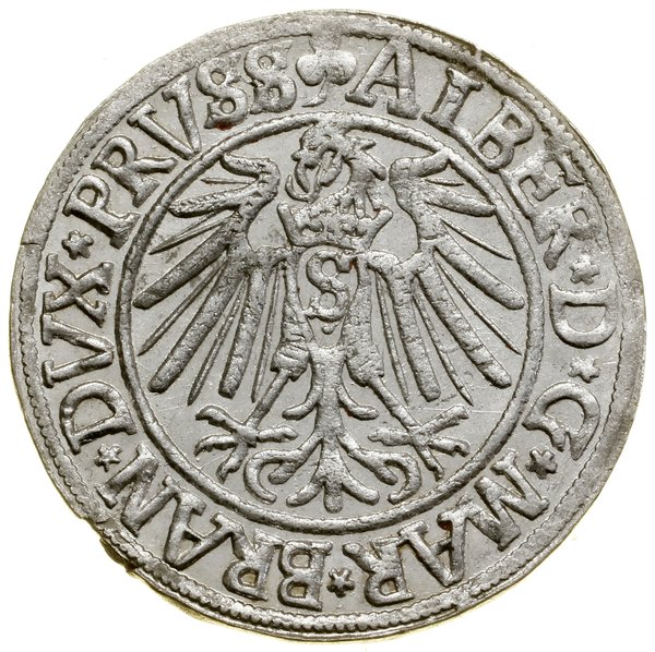 Grosz, 1541, Królewiec