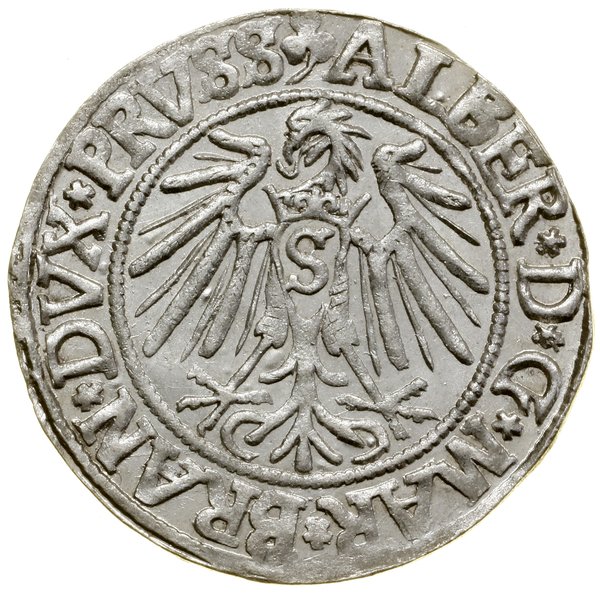 Grosz, 1542, Królewiec