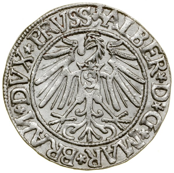Grosz, 1544, Królewiec