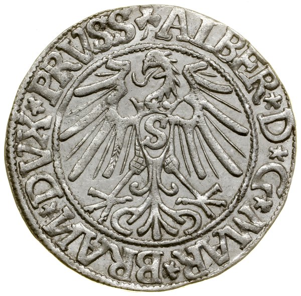 Grosz, 1544, Królewiec