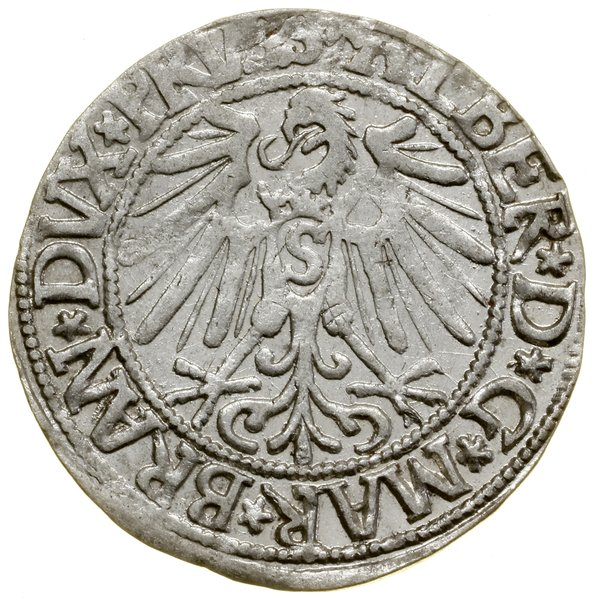 Grosz, 1545, Królewiec