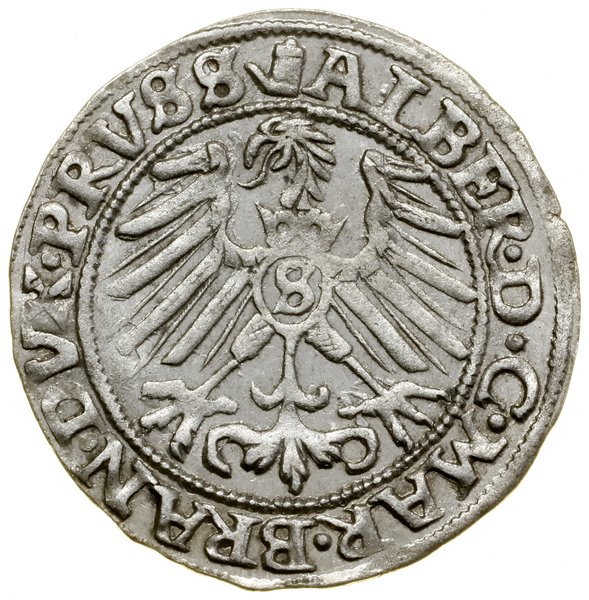 Grosz, 1558, Królewiec