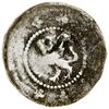 Kwartnik, ok. poł. XIV w., Syców; Aw: Gotycka litera C, + WARTENBER…; Rw: Gryf w lewo, w otoku czt..