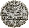 Grosz, 1528, Kraków; herb Odrowąż między rozetami; Białk.-Szw. 30, Kop. 419, Kurp. (1506–1573) 47 ..