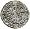 Grosz, 1528, Kraków; herb Odrowąż między rozetami; Białk.-Szw. 30, Kop. 419, Kurp. (1506–1573) 47 ..