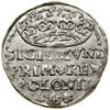 Grosz, 1529, Kraków; herb Odrowąż między rozetami; Białk.-Szw. 31, Kop. 421, Kurp. (1506–1573) 49 ..