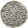 Grosz, 1529, Kraków; herb Odrowąż między rozetami; Białk.-Szw. 31, Kop. 421, Kurp. (1506–1573) 49 ..