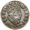 Trojak, 1539, Gdańsk; na awersie końcówka legendy PRVS, trójlistki po bokach nominału i daty; Biał..