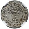 Szeląg, 1539, Gdańsk; data zapisana dużymi cyframi, w legendzie awersu POLON, znak inicjalny na re..