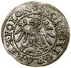 Szeląg, 1546, Gdańsk; znaki inicjalne: na awersie gwiazda, na rewersie rozeta, w legendzie awersu ..