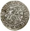 Szeląg, 1546, Gdańsk; znaki inicjalne: na awersie gwiazda, na rewersie rozeta, w legendzie awersu ..