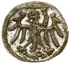 Denar, bez daty, Elbląg; Białk.-Szw. 243, CNCE 81, Kop. 7070 (R2), Kurp. (1506–1573) 551 (R3), Pfa..