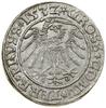 Grosz, 1532, Toruń; końcówki legend PRVS / PRVSS; Białk.-Szw. 85, CNCT 1234, Kop. 3087 (R), Kurp. ..
