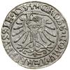 Grosz, 1534, Toruń; popiersie króla z długimi włosami, końcówki legend PRVSS / PRVSSIE; Białk.-Szw..