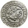 Półgrosz, 1525, Wilno; HBD 94A (odm.), Huletski 205 RA (odm.), Ivanauskas 1S318-10 (odm.), Kop. 31..