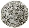 Półgrosz, 1528/V, Wilno; odwrócone litery „N” w legendzie rewersu; HBD 98G (RIII), Huletski 205 U5..