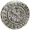 Półgrosz, 1528/V, Wilno; odwrócone litery „N” w legendzie rewersu; HBD 98G (RIII), Huletski 205 U5..