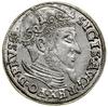 Trojak, 1557, Gdańsk; popiersie króla bez obwódki, legenda awersu zakończona lilijką, z lilijkami ..
