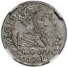 Grosz na stopę polską, 1566, Tykocin; końcówki legend L / LITV, odmiana z dużym herbem Jastrzębiec..