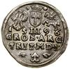 Trojak, 1596, Wilno; mała głowa króla, kryza władcy wachlarzowata, nominał III rozdziela datę, odm..