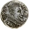 Trojak, 1598, Wilno; odmiana z herbem Łabędź (Andrzej Zawisza, podskarbi litewski) i głową wołu pr..