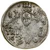 Trojak, 1601, Wilno; w legendzie awersu SIG 3...R P M D L, na rewersie herb Łabędź i litera W (ozn..