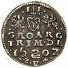 Trojak, 1602, Wilno; w legendzie awersu ...PO M D L, na rewersie GRO ARG...litera V pod herbem Łab..