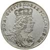 Tymf, 1753, Lipsk; młodzieńczy typ popiersia, z karacenowym napierśnikiem, brosza zapony owalna, g..