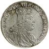 Tymf, 1753, Lipsk; przekrój ramienia ze skośnym żeberkowaniem, na ramieniu trzy pasy rzemienne, po..