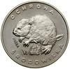 100 złotych, 1978, Warszawa; Ochrona Środowiska – Bóbr (na trawie), PRÓBA NIKIEL; Parchimowicz P38..
