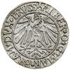 Grosz, 1544, Królewiec; długa broda księcia (rzadszy typ popiersia w tym roczniku), końcówka legen..
