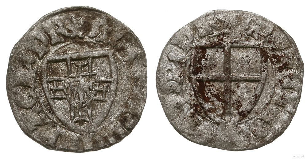 Zakon Krzyżacki, szeląg