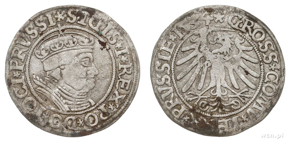 Polska, grosz, 1534