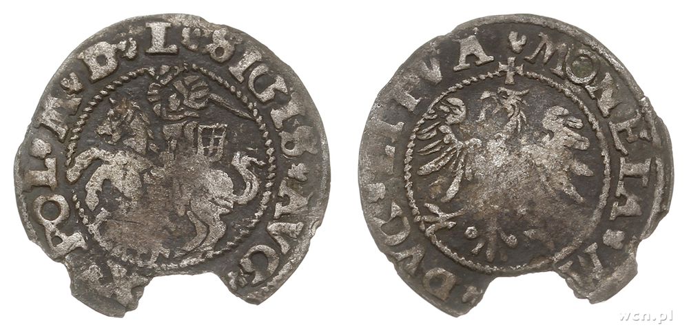 Polska, półgrosz litewski, 1545