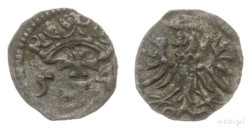 Polska, denar, 1554