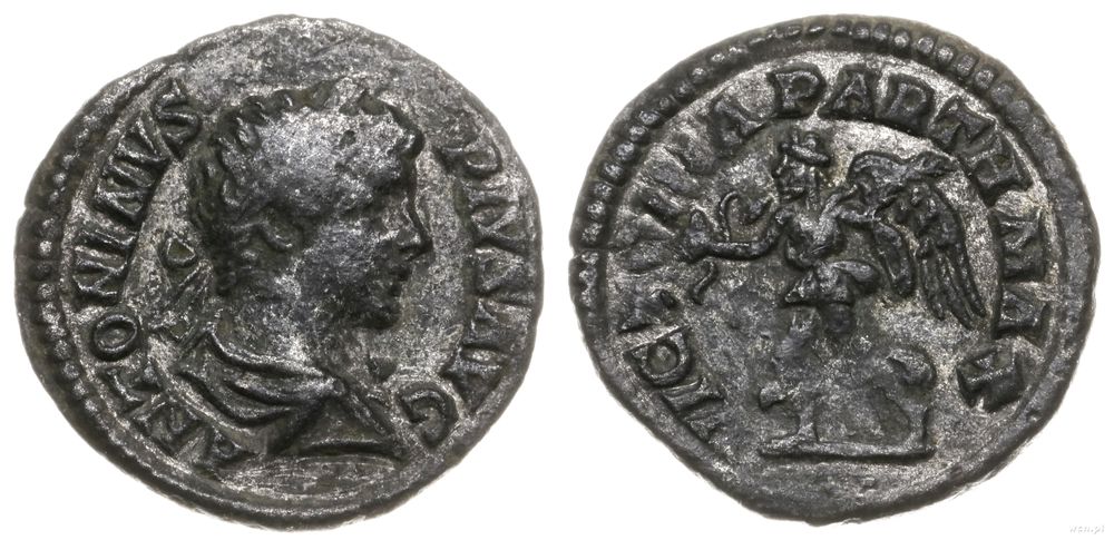 falsyfikat denara z epoki, 201-206, Cesarstwo Rzymskie - E ...